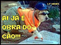 /album/rindo-no-maximo/ai-ja-eh-obra-do-cao-jpg/